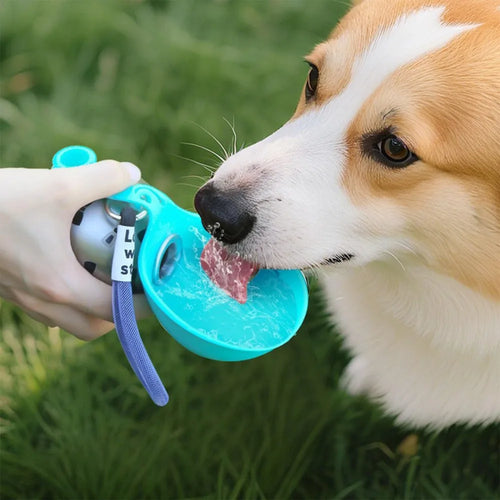 Pup Hydration Buddy